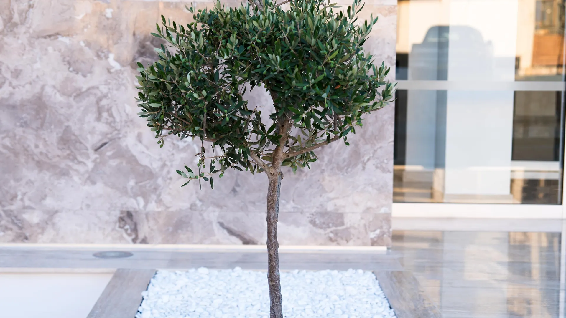 פרוטאראס Mandali Hotel